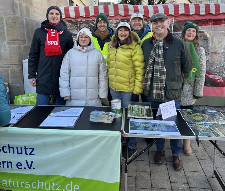 Mehr Rücksicht auf Natur und Menschen beim Stromtrassenbau