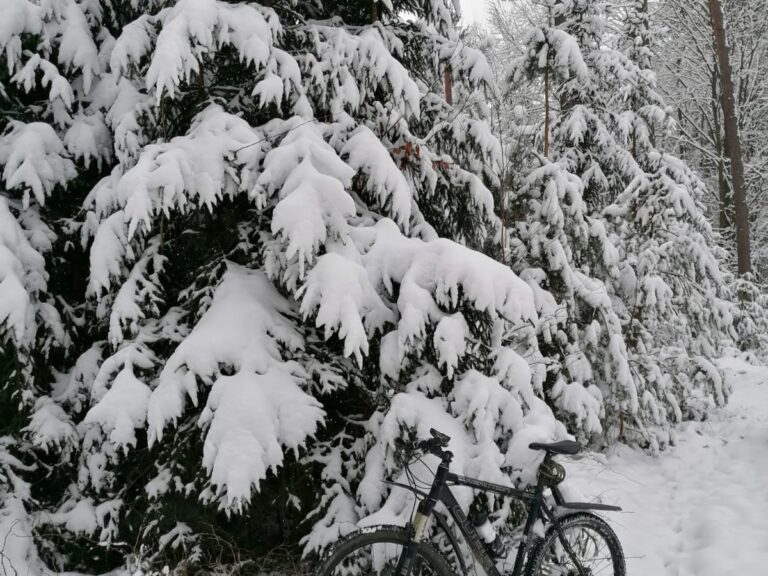 Radeln im Winter – gemeinsam geht’s besser! „Frostpendeln“ mit Grünem Team Altdorf