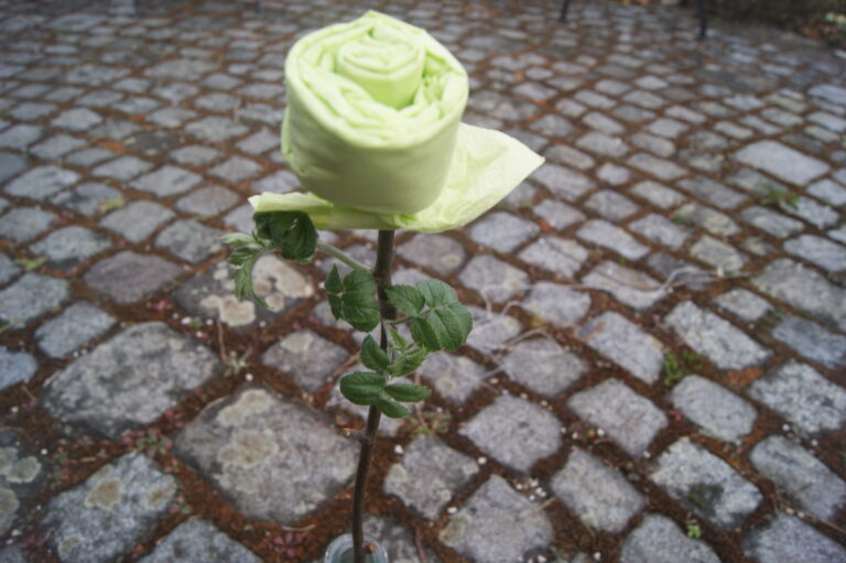 Wir  bleiben dran! 3 Grüne im neuen Stadtrat