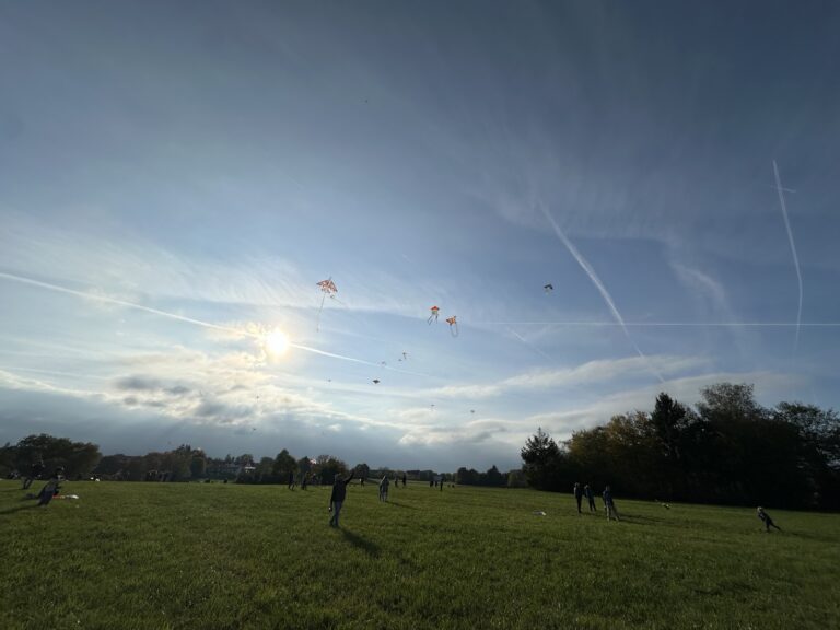 Wind fürs Wir – herbstliches Drachenfest auf den Ziegelwiesen